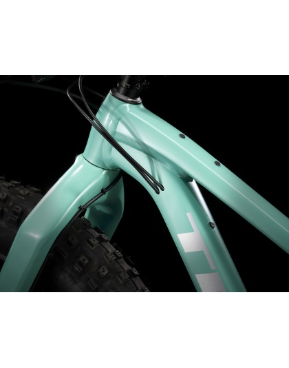Trek Farley 5