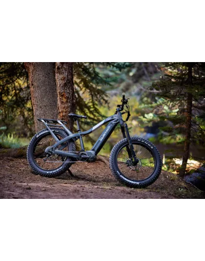 Apex Pro E-bikes