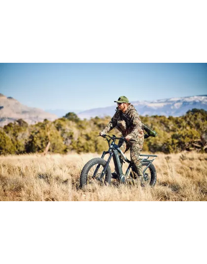 Apex Pro E-bikes