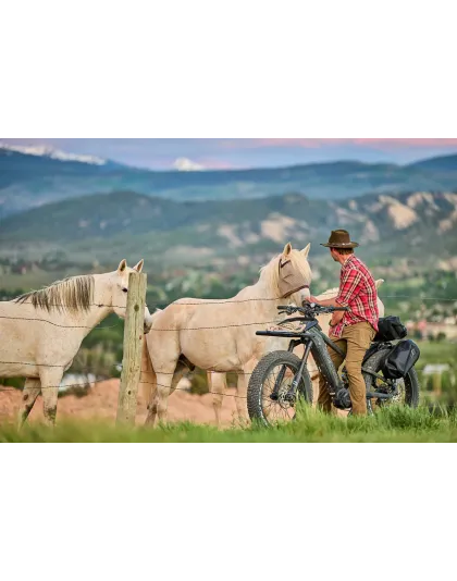 Ibex E- bikes