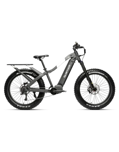 Apex Pro E-bikes