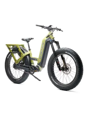 Apex HD E-bikes