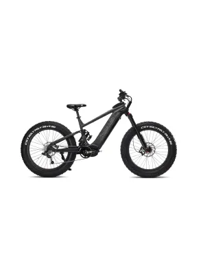 Ibex E- bikes