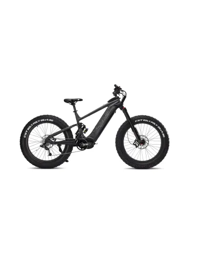 Ibex E- bikes