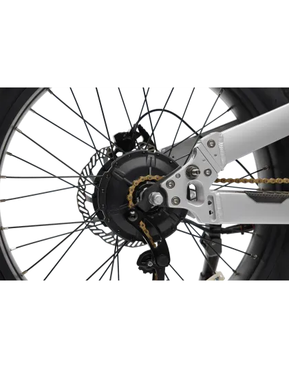Lynx E-bikes