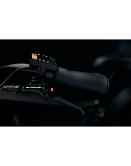 RadRover™ 6 Plus Electric Fat Tire Bike edition