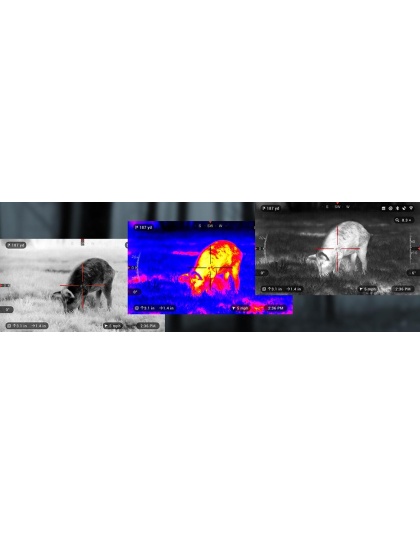 ATN ThOR-HD 384